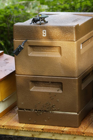 Bienenwohnung - Bienenbeute